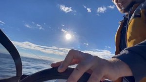 Рыбалка на катере феникс 560, ялта, крым, луфарь клюёт.