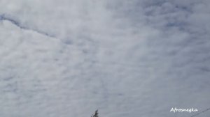 Как провести выходные? Ивангород | Я путешествую!