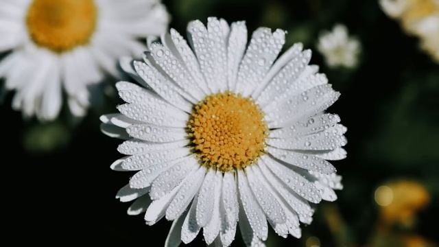 Истории из жизни. Жизненные истории. Интересные истории. Душевные истории. Увлекательные истории. смотреть онлайн