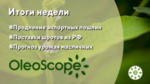 Итоги недели: правительство продлевает экспортные пошлины, поставки шротов из РФ растут на 44%