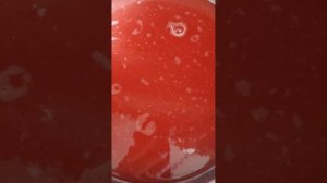Томатный сок в домашних условиях. Рецепт 100% томатного сока. Заготовки из ? ? ? помидор.
