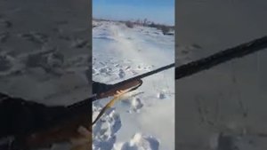 Мц 21-12 и спортивные патроны, против Бекас 12м