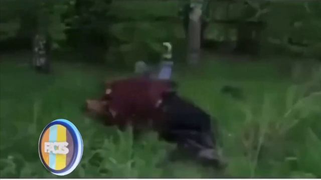 "Если бы мои сны можно было записать на камеру" Алкоголики на видео тусуются. Мем смотреть онлайн