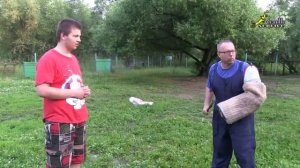 Дрессировка собак, ЗКС, обучение фигуранта, занятие 1