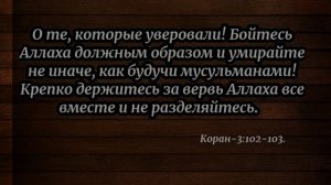 «О те которые уверовали…».| Темдар абу Закария.
