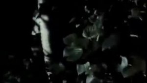 Зоя Рождественская Ночью xvid