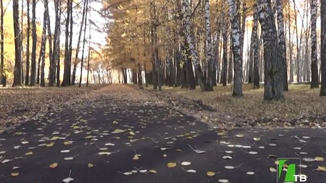2018 10 17 Городской парк смотреть онлайн
