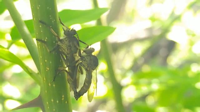 Ктыри 2020 07 08 смотреть онлайн