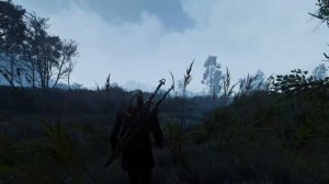 [5K] The Witcher 3 2021 Ultra modded