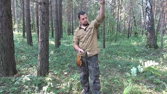 Бушкрафт кружка из ствола дерева смотреть онлайн