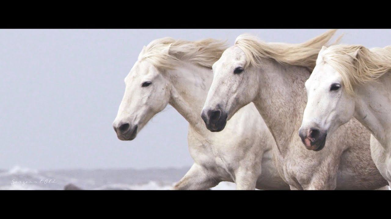 ♪ Flaer Smin - A Long Way Home смотреть онлайн