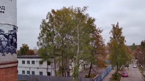 Жизнь города Сосенский