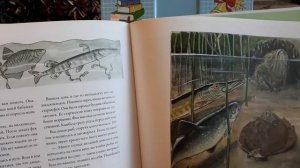 Эльза Бесков. Сказка о любопытной луне.