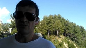 о кошке - кошка перебежала дорогу .. / простое объяснение старой приметы / все о кошках и котах