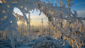 Якутия Якутск ИНТЕРЕСНЫЕ ФАКТЫ О ГОРОДАХ РОССИЙСКОЙ ФЕДЕРАЦИИ