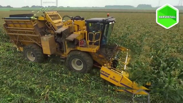 Amazing Grape Harvesting ? - Modern Agriculture Machines That Are At Another Level