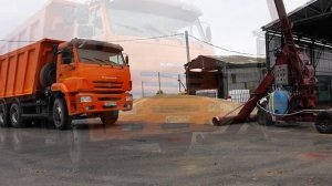 Протравливание семян озимой пшеницы перед посевом на Приморском ХПП