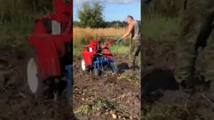 Русич 8лс с картофелекопалкой ККМ- 1 адаптированная под тяжелый мотоблок