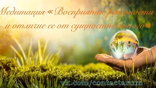Медитация "Восприятие реальности и отличие ее от сущностного" смотреть онлайн