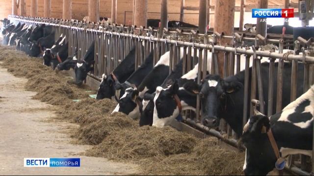 Сегодня областные депутаты внесли изменения в закон о поддержке семей с детьми смотреть онлайн