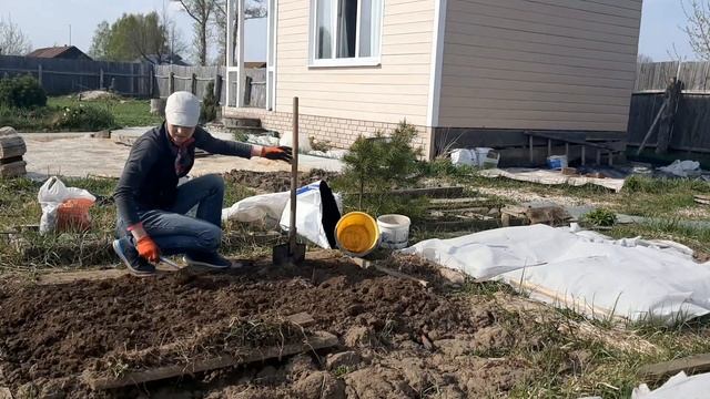 Cажаем клубнику правильно. Как подготовить "вкусный" грунт. смотреть онлайн