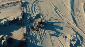 Как пасти коров на коптере зимой крс тебенюют в снегу в поле