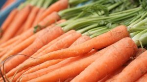 Морковь. Польза и вред для организма.