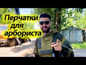 В каких перчатках работают арбористы?