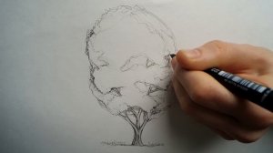 Быстрые рисунки деревьев. Стилизация/ Антураж/ Архитектурная графика