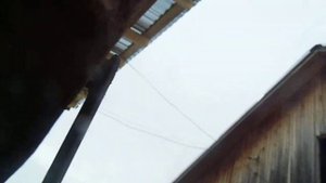 Обзор на дробилку для кедровых шишек.