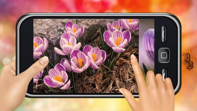 Стили для ПроШоу Продюсер. Скачать бесплатно смотреть онлайн