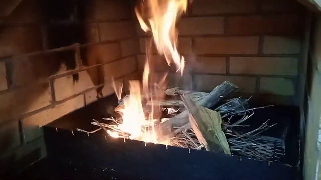 ВКУСНЫЙ СОЧНЫЙ ШАШЛЫК ИЗ КУРИЦЫ //??ОВОЩИ НА МАНГАЛЕ//??ПАЛЬЧИКИ ОБЛИЖИТЕ
