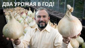 Все о ПОСАДКЕ ЧЕСНОКА на зиму для ОГРОМНЫХ урожаев!