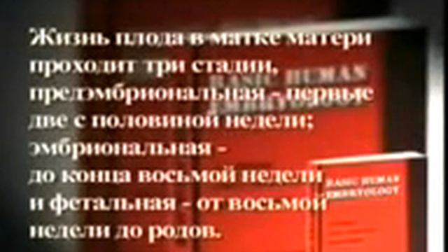 Сотворение человека