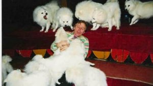 Японский шпиц на арене цирка!