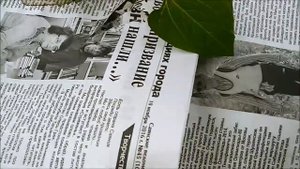 Как избавиться от сорняков в теплице.