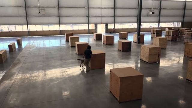 360 K9 Group Video