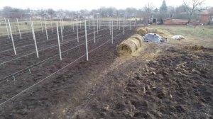 Супер интенсивный сад (Яблоневый)