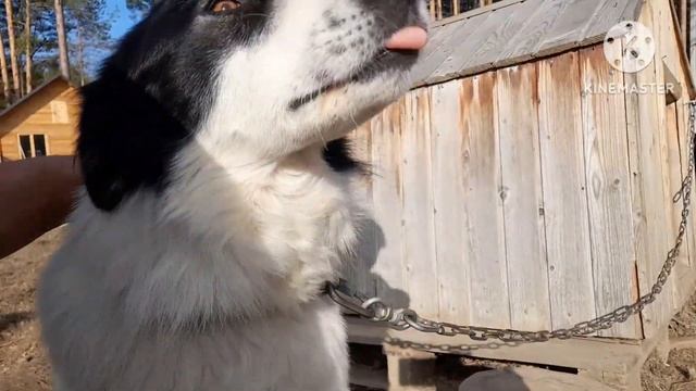 спустя год он нашёл дом смотреть онлайн