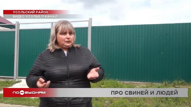 Жителей Тельмы держит в страхе владелец свиньи, от укуса которой уже скончался мужчина смотреть онлайн