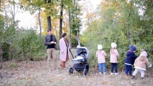 Далеко, далеко журавли улетели