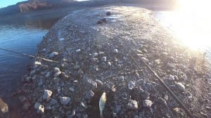 Ловля окуня в Крыму! Окунь на джиг!