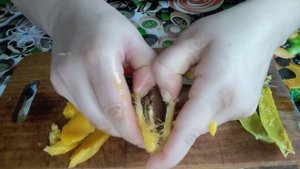 Выращиваем манго дома, с косточки до росточка