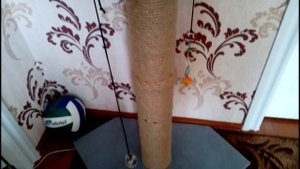#Cat. #Кошка трюкачит. Прикольная игра для Котэ. Funny cat games - YouTube.