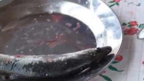 Малосольный омуль от лидера ПСПУ