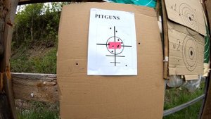 Отстрел ВПО 285 на 25,50 и 100м