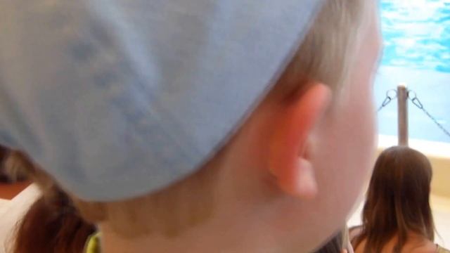 Шоу-супер представление для детей! Морские котики зажигают! Идём в Дельфинарий! смотреть онлайн