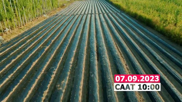 Клубника КыргызстанАгрокомплекс логистика борбору ачылышы.