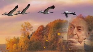 ЗДЕСЬ ПОД НЕБОМ ЧУЖИМ,