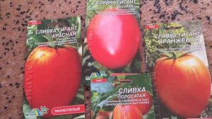 Семена самых популярных, вкусных, урожайных помидоров. Помидор «Сливка».